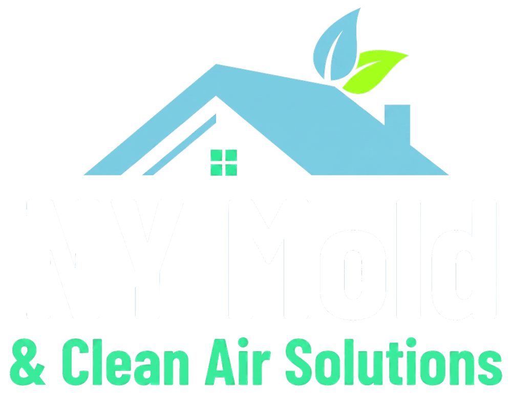 NY Mold & Clean Air Solutions