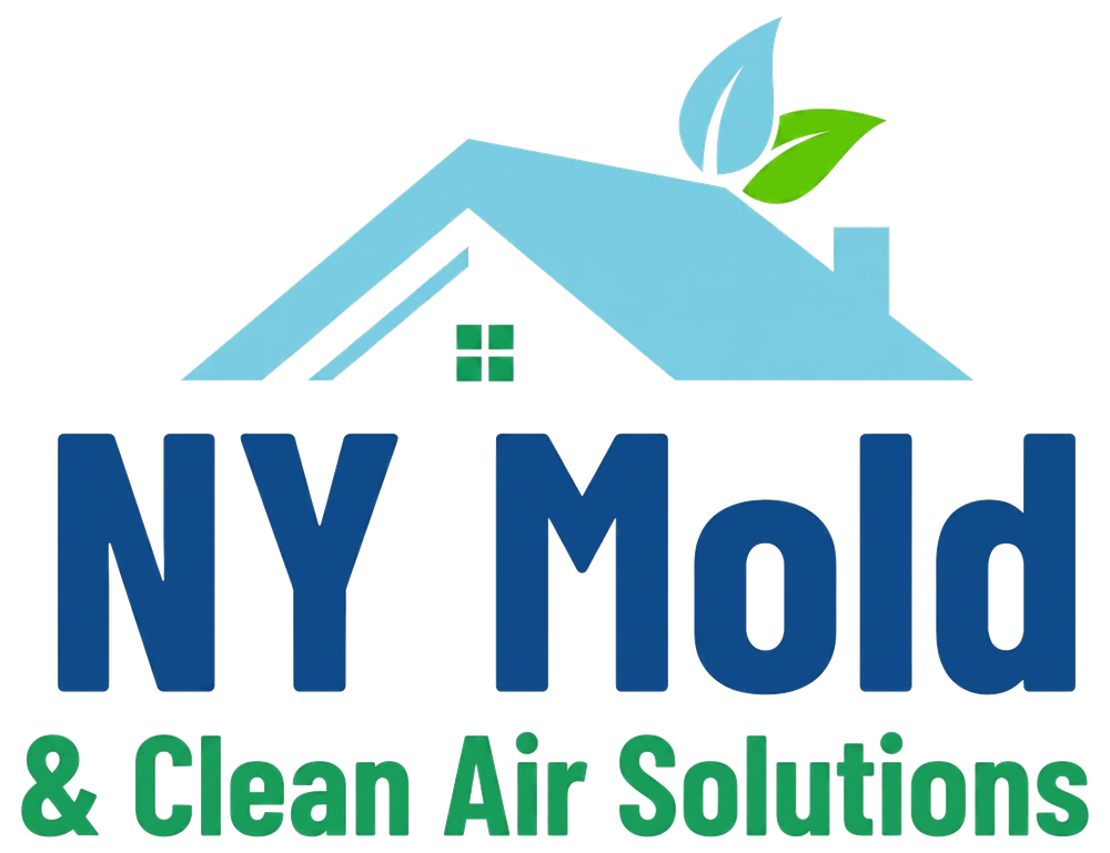 NY Mold & Clean Air Solutions